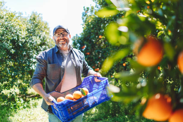 5 Reasons Why Farmers Are Better Than Lawyers (Debate)